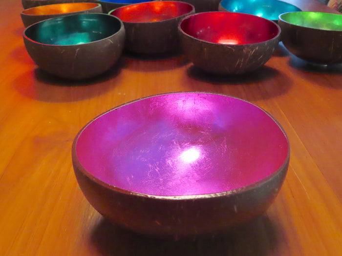 Coconut Shell Bowl-Pink