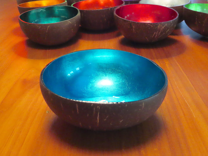 Coconut Shell Bowl-Turquoise