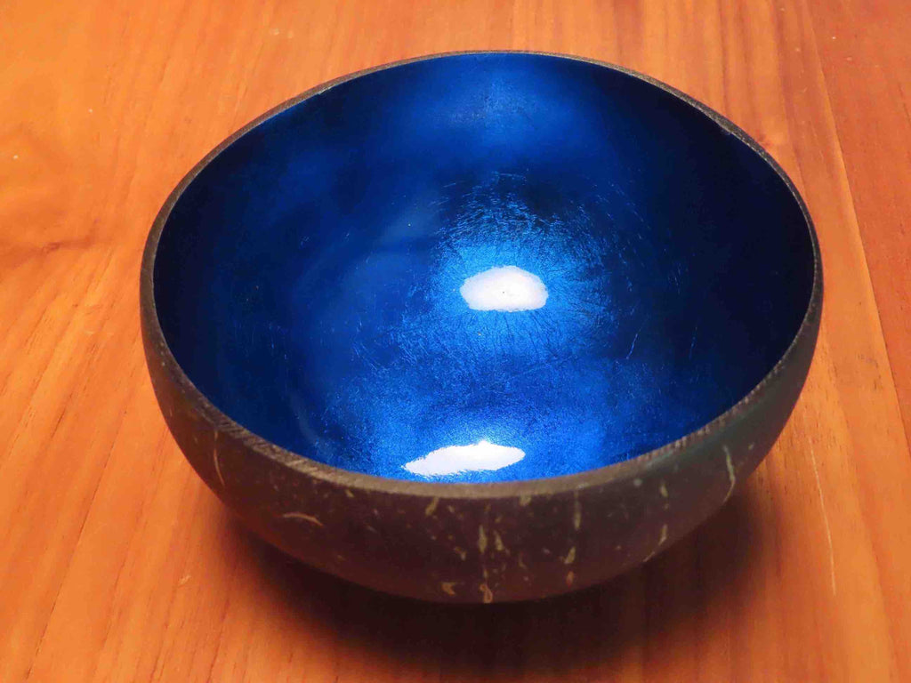 Coconut Shell Bowl-Dark Blue