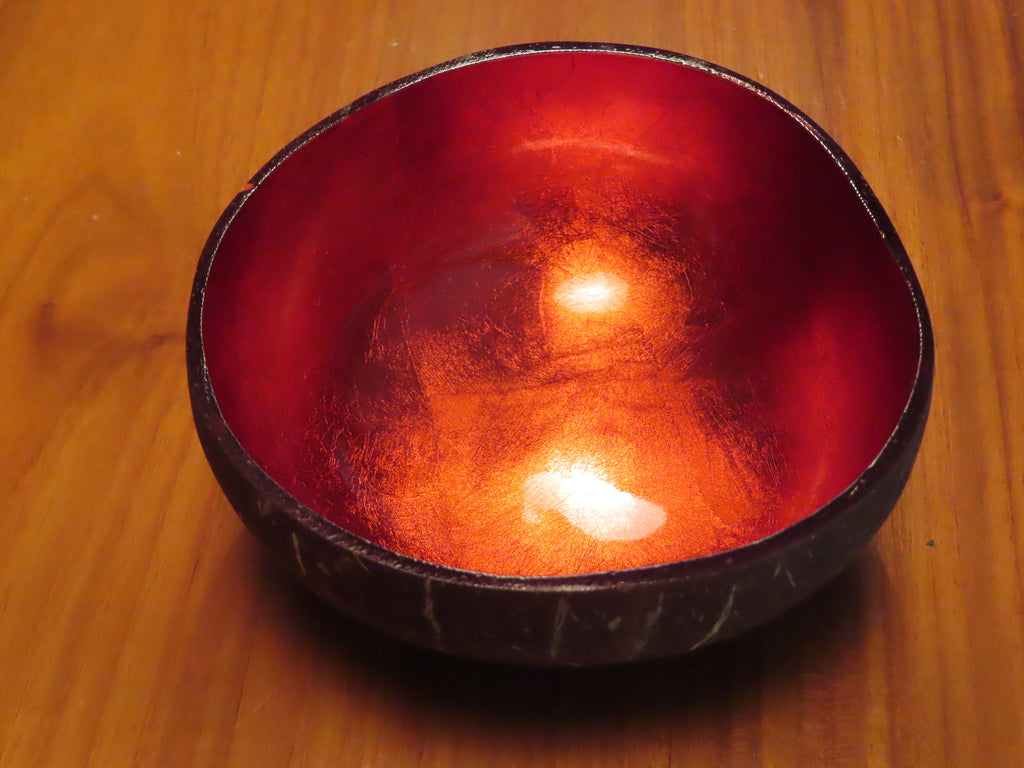 Coconut Shell Bowl-Orange