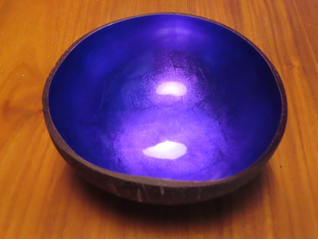 Coconut Shell Bowl-Violet
