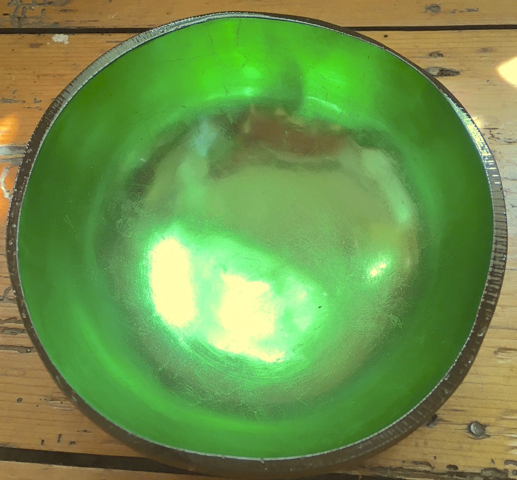 Coconut Shell Bowl-Green