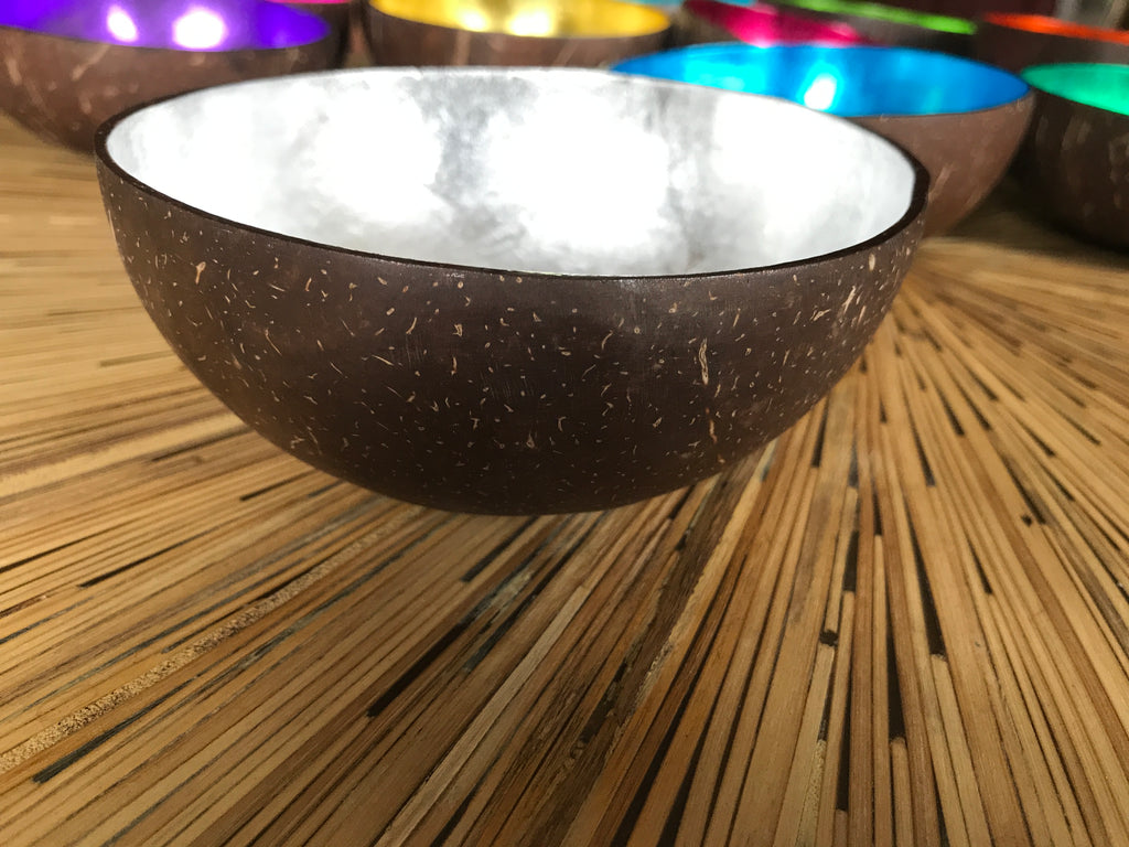 Coconut Shell Bowl-Silver