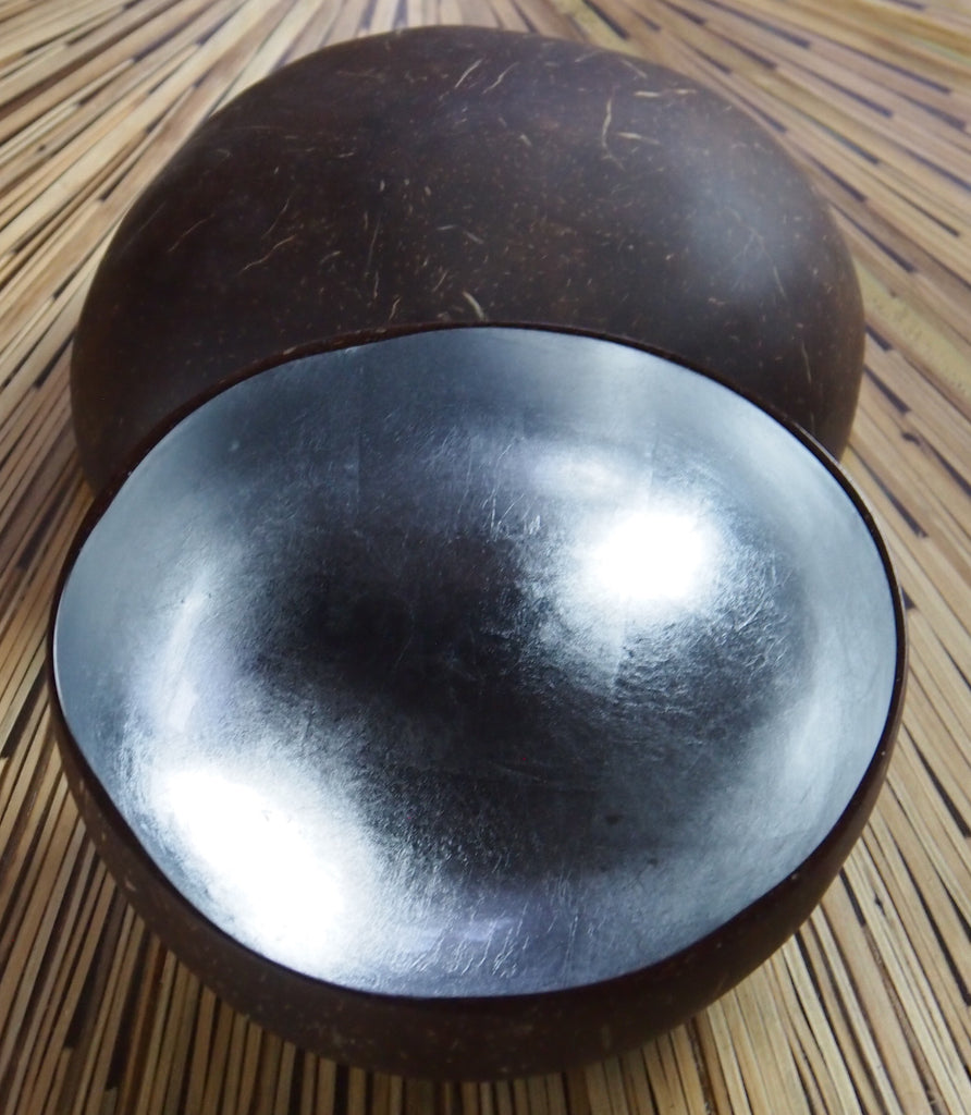 Coconut Shell Bowl-Silver