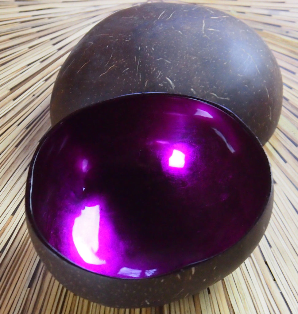 Coconut Shell Bowl-Violet