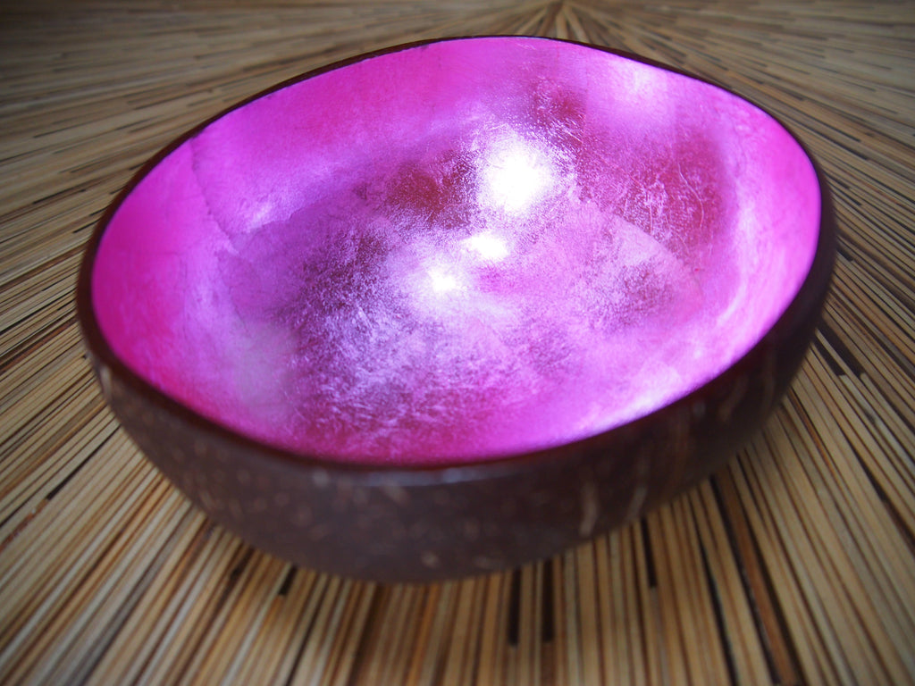 Coconut Shell Bowl-Pink